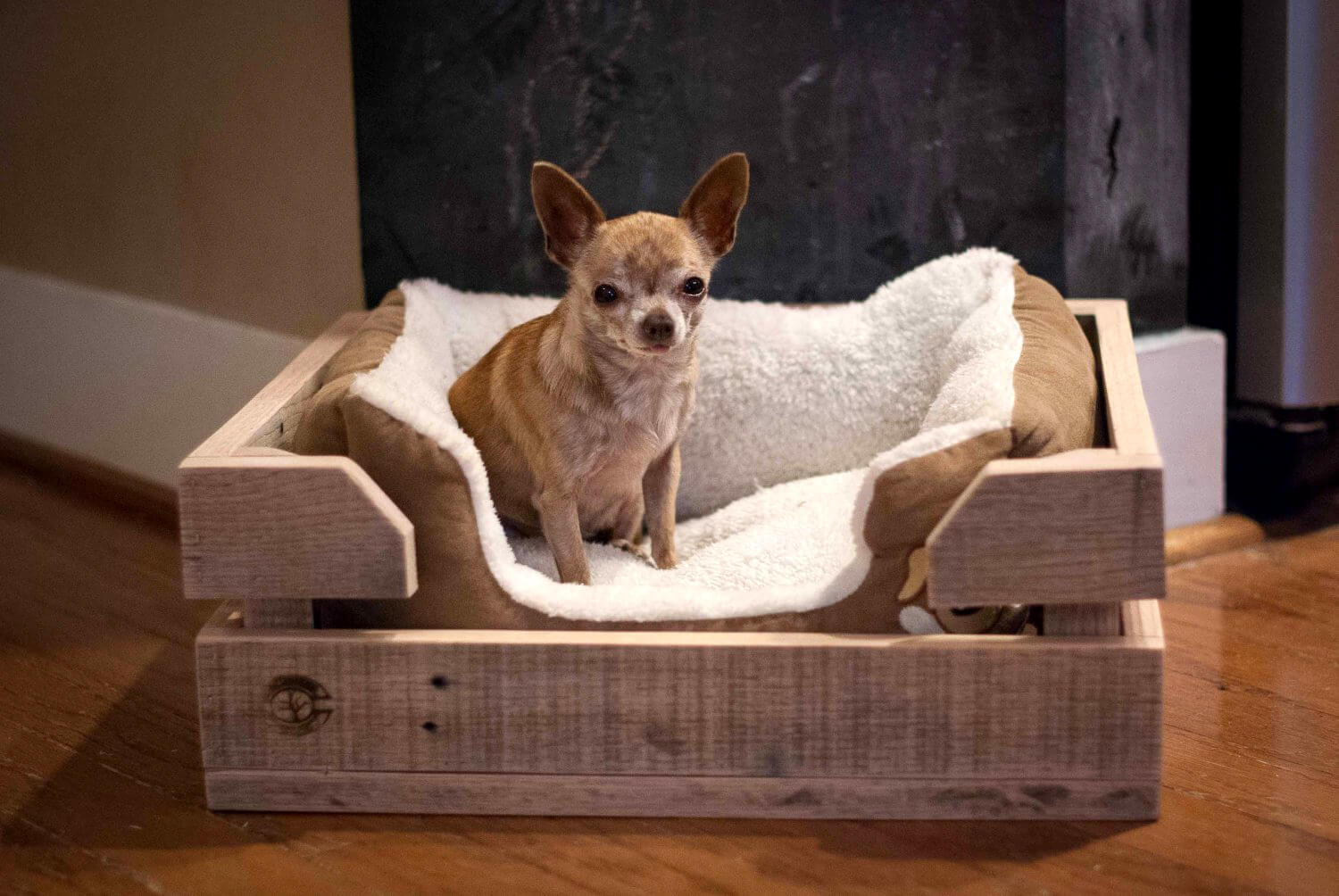40+ Diy Pallet Dog Bed Ideas Animal Pallet Houses & Pallet Supplies 40+ Diy Pallet Dog Bed Ideas Animal Pallet Houses & Pallet Supplies