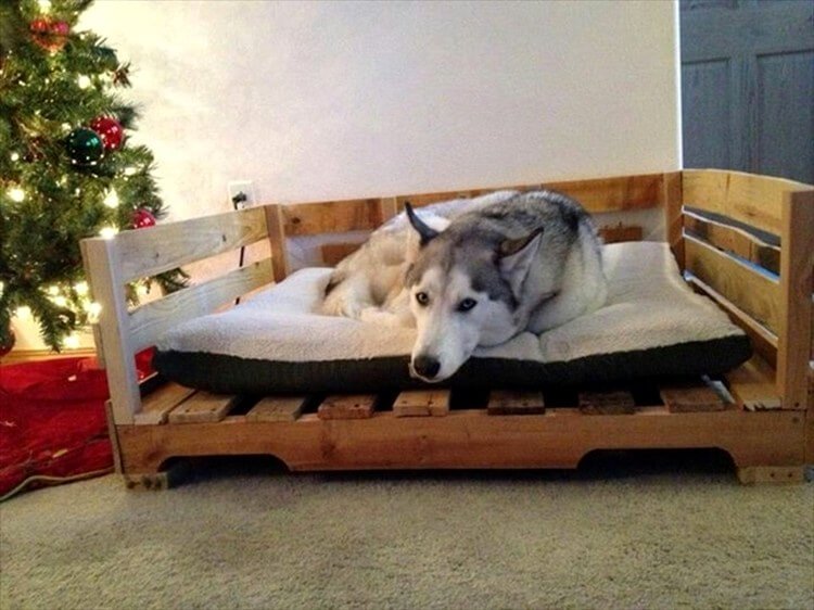 40+ Diy Pallet Dog Bed Ideas Animal Pallet Houses & Pallet Supplies 40+ Diy Pallet Dog Bed Ideas Animal Pallet Houses & Pallet Supplies
