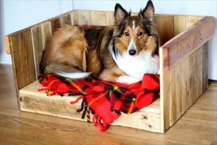 40+ Diy Pallet Dog Bed Ideas Animal Pallet Houses & Pallet Supplies 40+ Diy Pallet Dog Bed Ideas Animal Pallet Houses & Pallet Supplies