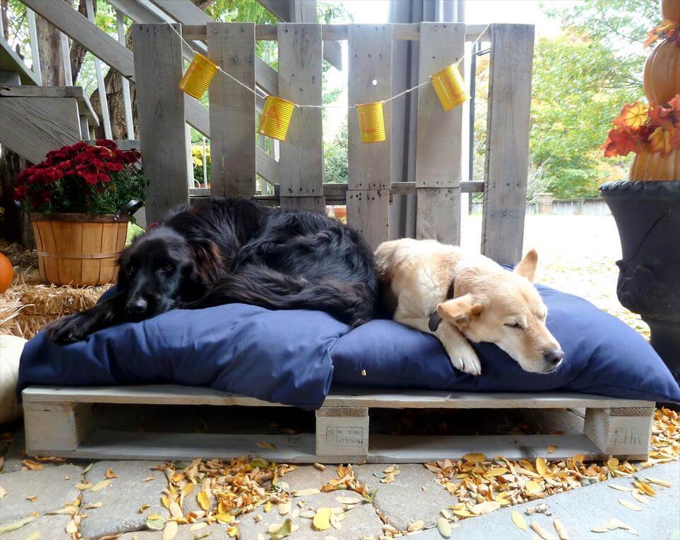 40+ Diy Pallet Dog Bed Ideas Animal Pallet Houses & Pallet Supplies 40+ Diy Pallet Dog Bed Ideas Animal Pallet Houses & Pallet Supplies