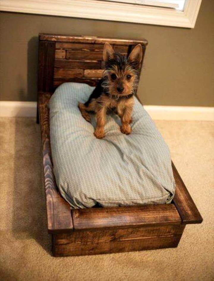 40+ Diy Pallet Dog Bed Ideas Animal Pallet Houses & Pallet Supplies 40+ Diy Pallet Dog Bed Ideas Animal Pallet Houses & Pallet Supplies