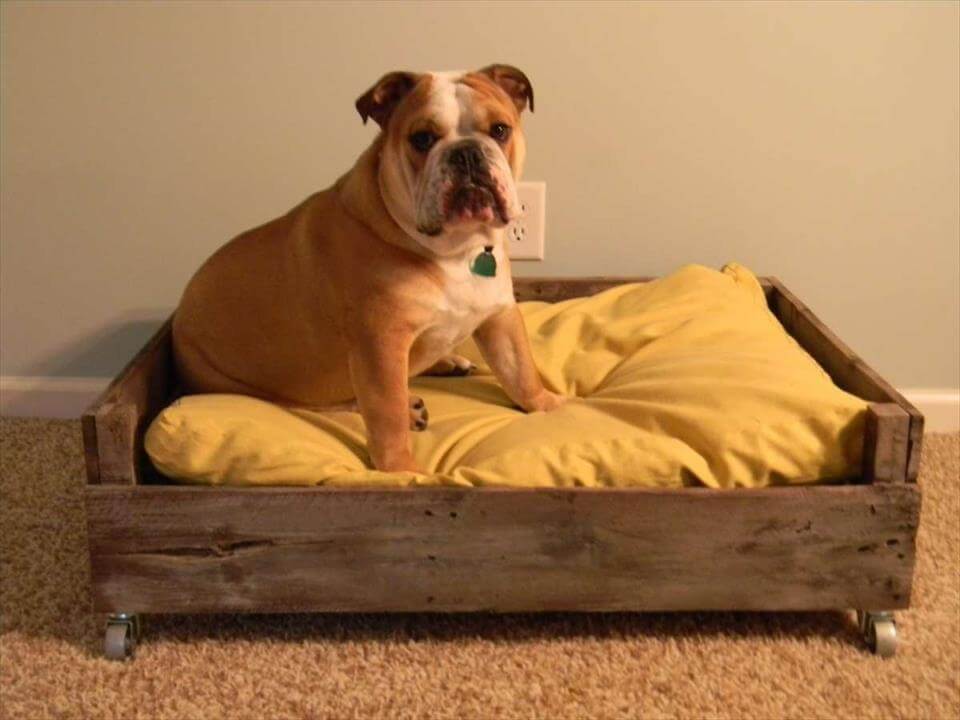 40+ Diy Pallet Dog Bed Ideas Animal Pallet Houses & Pallet Supplies 40+ Diy Pallet Dog Bed Ideas Animal Pallet Houses & Pallet Supplies