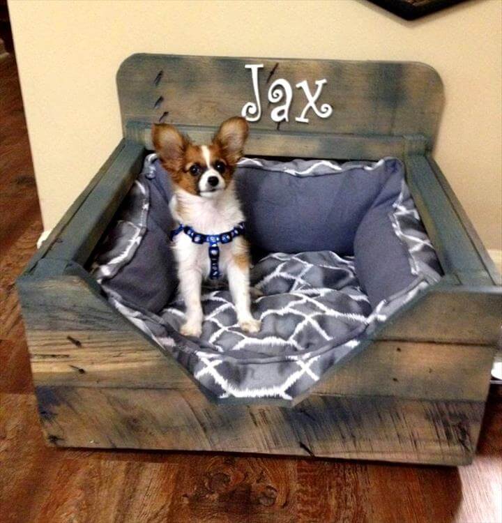 40+ Diy Pallet Dog Bed Ideas Animal Pallet Houses & Pallet Supplies 40+ Diy Pallet Dog Bed Ideas Animal Pallet Houses & Pallet Supplies