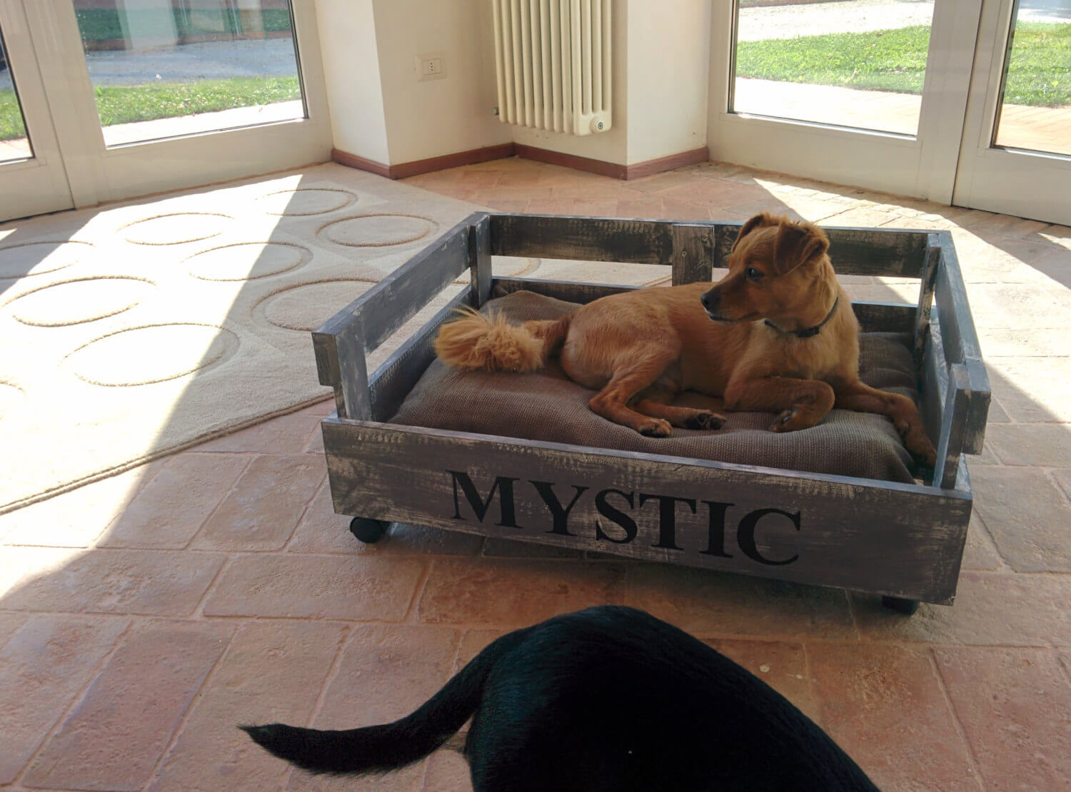 40+ Diy Pallet Dog Bed Ideas Animal Pallet Houses & Pallet Supplies 40+ Diy Pallet Dog Bed Ideas Animal Pallet Houses & Pallet Supplies