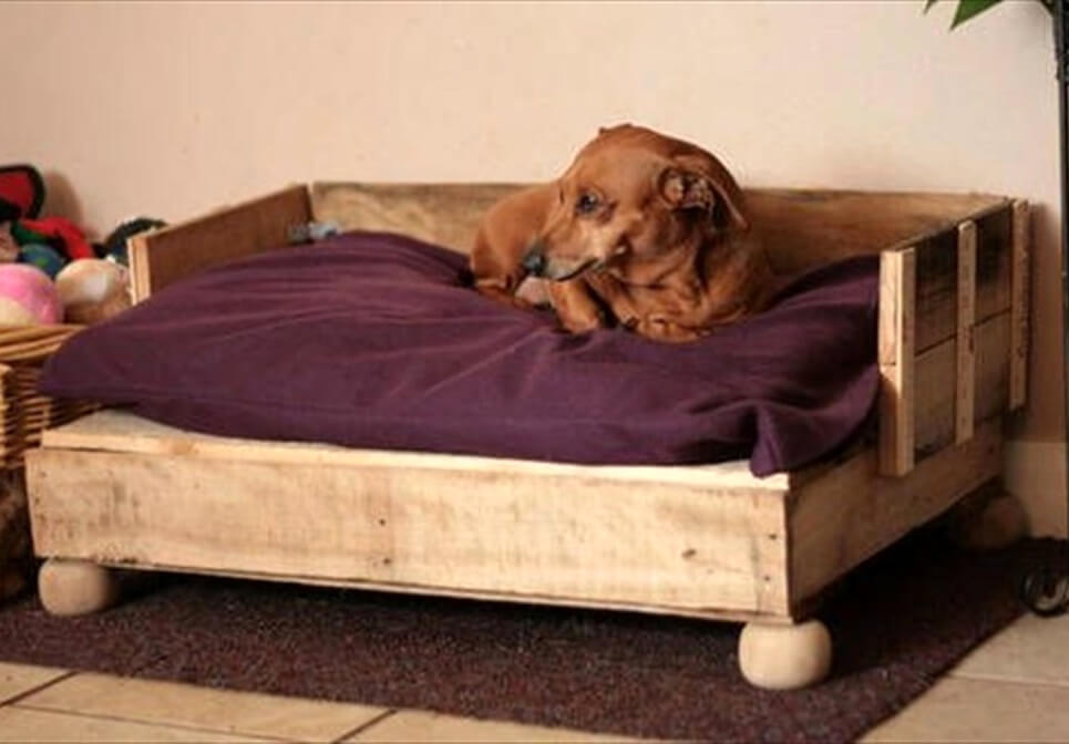 40+ Diy Pallet Dog Bed Ideas Animal Pallet Houses & Pallet Supplies 40+ Diy Pallet Dog Bed Ideas Animal Pallet Houses & Pallet Supplies