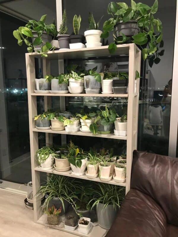 Build a Plant Shelf From Pallet Wood Pallet Shelves & Pallet Coat Hangers Build a Plant Shelf From Pallet Wood Pallet Shelves & Pallet Coat Hangers