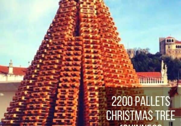 2200 Pallets Christmas Tree (Guinness World Record)