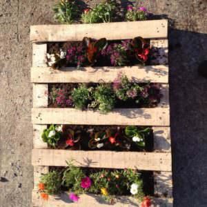 planter-rest