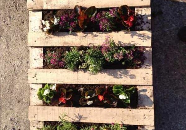 planter-rest