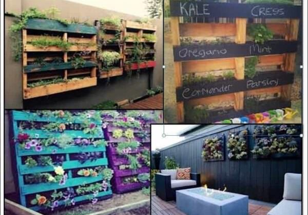 pallet6