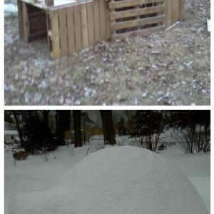 pallet-igloo