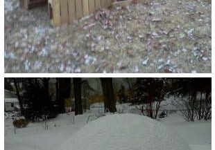 pallet-igloo