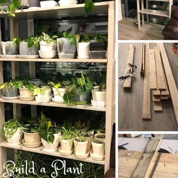 Build a Plant Shelf From Pallet Wood