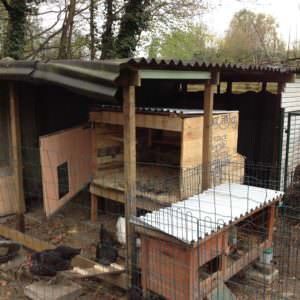 1001pallets.com-chicken-coop-from-pallets9
