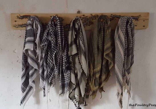 1001pallets.com-coat-rack-peg-rail-one-plank-project