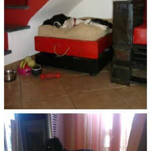 FotorCreated