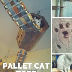 1001pallets.com-diy-pallet-cat-tree-provides-kitties-some-fun-07