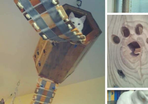 1001pallets.com-diy-pallet-cat-tree-provides-kitties-some-fun-07