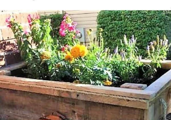 1001pallets.com-diy-video-tutorial-raised-pallet-flower-planter-features-driftwood-01