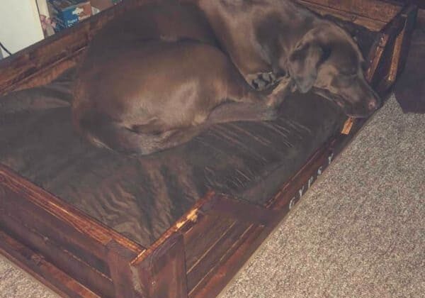 1001pallets.com-dog-bed-with-furring-strips-02