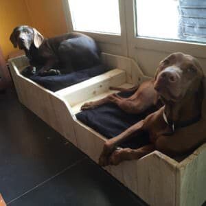 dogbed-from-pallets
