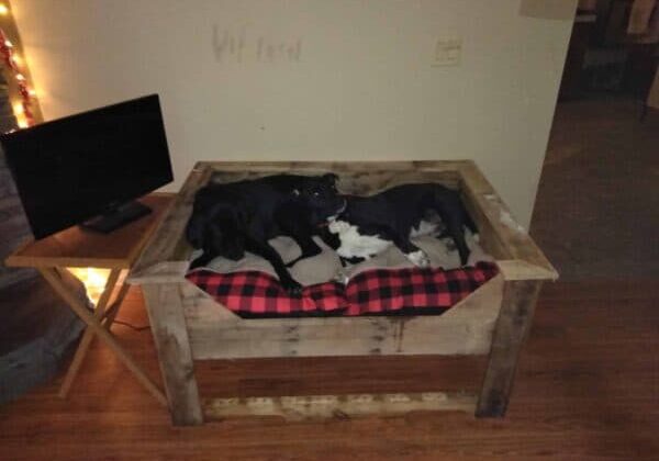 1001pallets.com-double-pallet-dog-bed