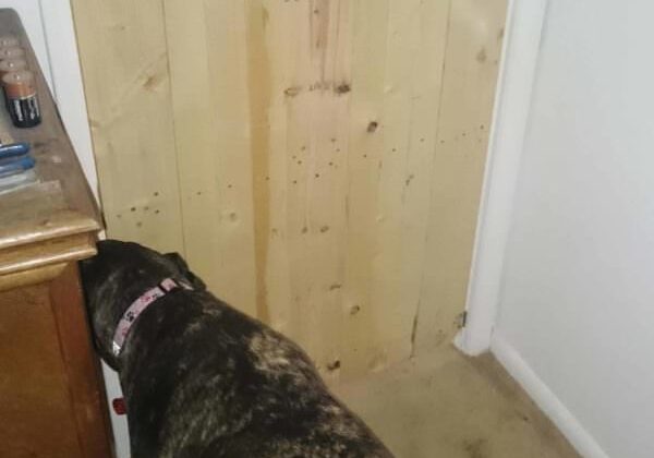 1001pallets.com-pallet-barn-door1
