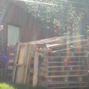 pallet-revelation