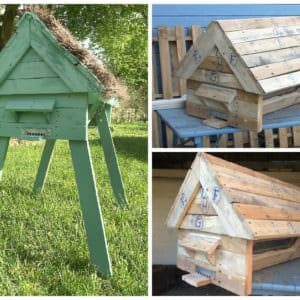 hive-pallet