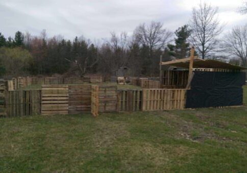 1001pallets.com-horse-pasture-and-shelter