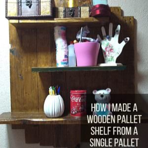 How I Made a Wooden Pallet Shelf from a Single Pallet