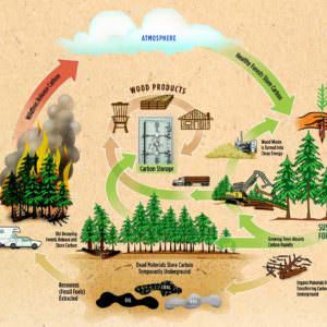 1001pallets.com-how-recycling-wood-pallets-helps-save-the-planet-02