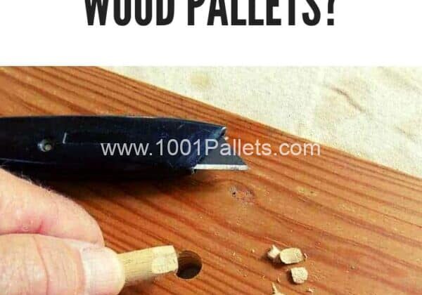 DIY Tutorial