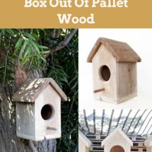 How To Make A Bird Box Out Of Pallet Wood