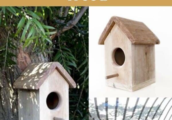 How To Make A Bird Box Out Of Pallet Wood