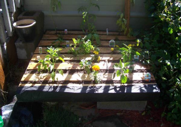 Garden-May-5-2013-2007-01-01-003