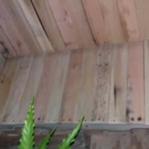 1001pallets.com-my-bench