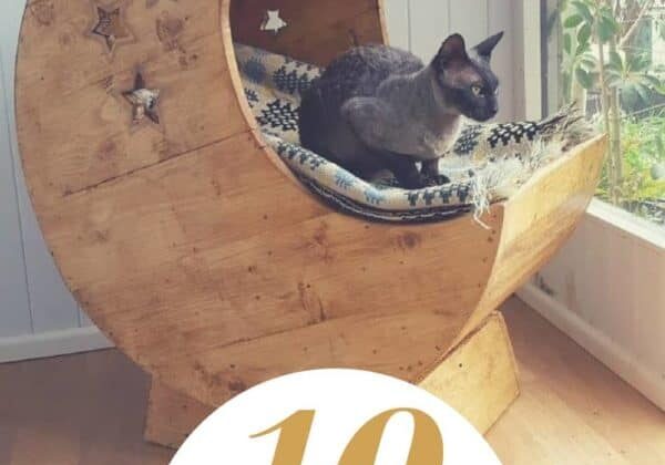 1001pallets.com-our-cats-deserve-awesome-cat-pallet-projects-here-s-10-amazing-ideas-for-them-01