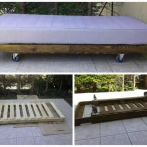 Fotor01016231555