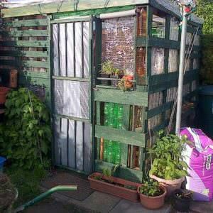 Greenhouse
