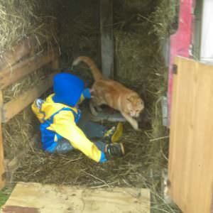 Pallet Cat Barn Keeps Kitty Purrfectly Warm!