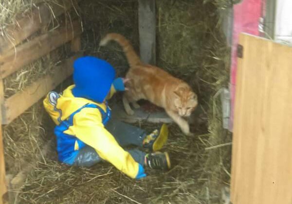 Pallet Cat Barn Keeps Kitty Purrfectly Warm!