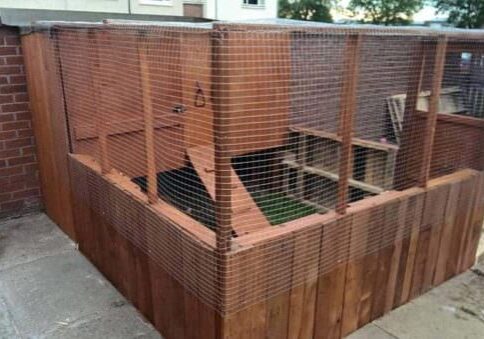 1001pallets.com-chicken-coop
