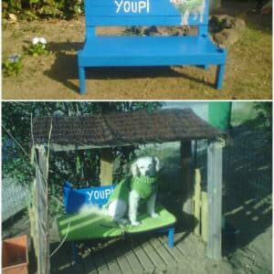 doghouse