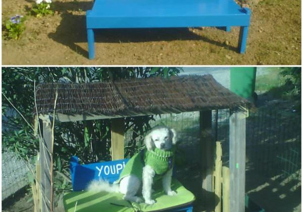 doghouse