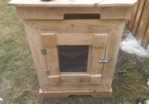 1001pallets.com-pallet-fish-tank
