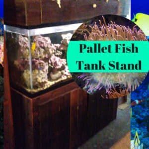 1001pallets.com-pallet-fish-tank-stand-has-decorative-knot-hood-05