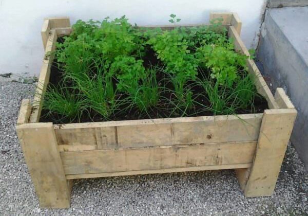 pallet-planter