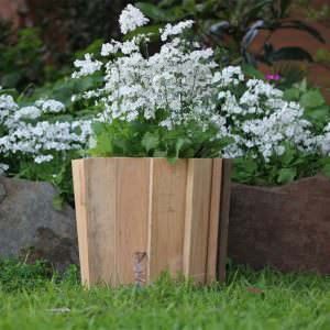 planter00