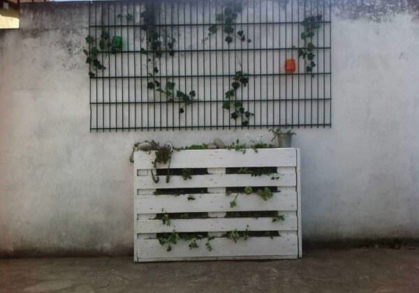 image16